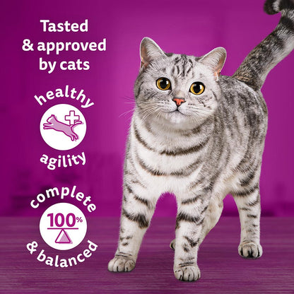 Whiskas 1+ Catch of the Day Adult Wet Cat Food Pouches in Gravy, Pack of 4 ( 12 × 85g )