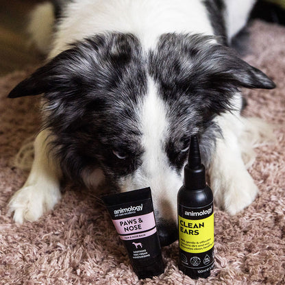 Animology Dog Care Clean Ears Drop - 100ml
