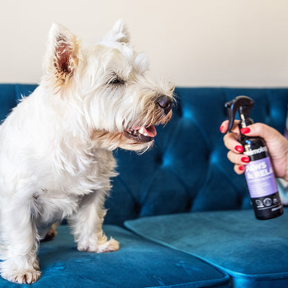 Animology Paws & Relax Spray Dog Spray - 250ml