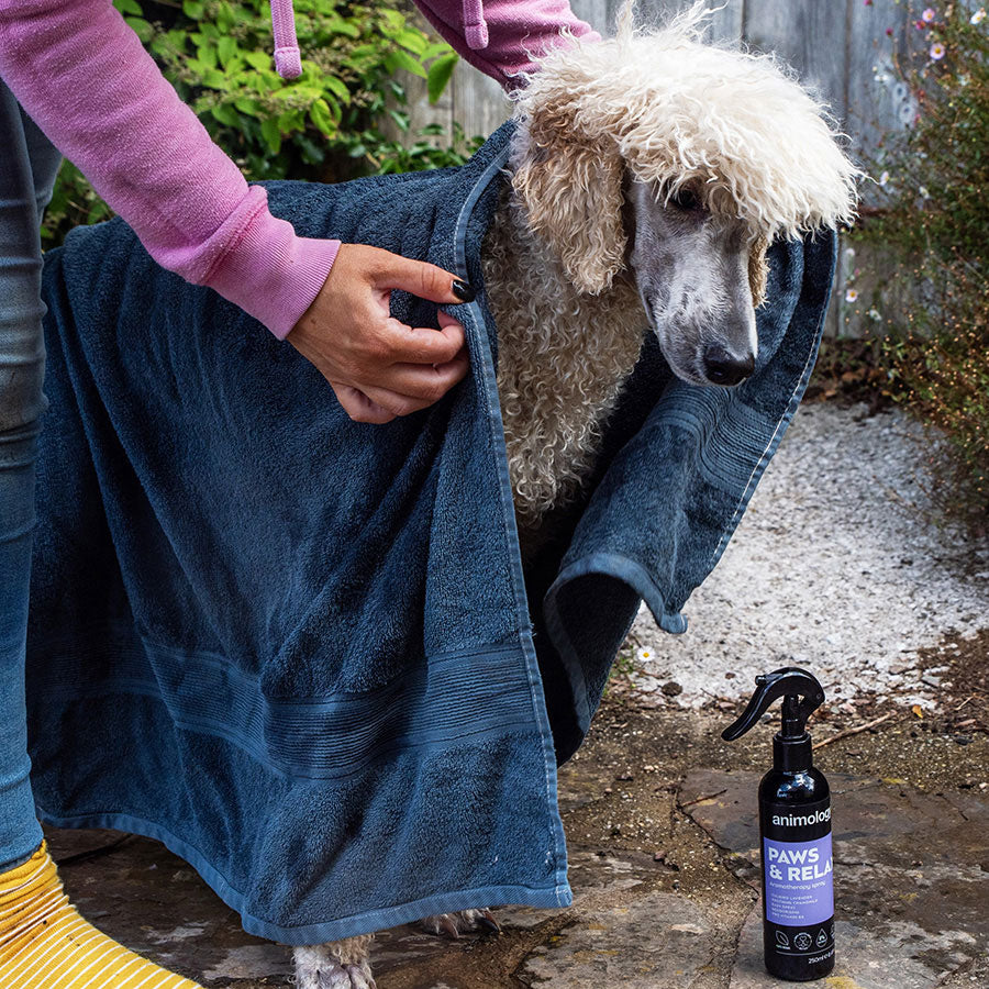 Animology Paws & Relax Spray Dog Spray - 250ml