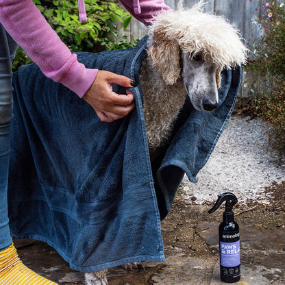 Animology Paws & Relax Spray Dog Spray - 250ml