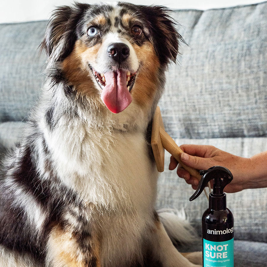 Animology Knot Sure Dog Detangle Spray - 250ml