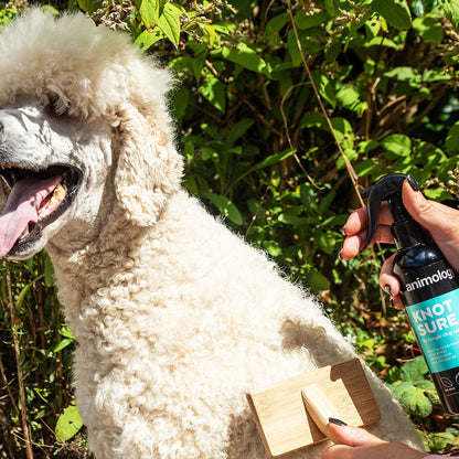 Animology Knot Sure Dog Detangle Spray - 250ml