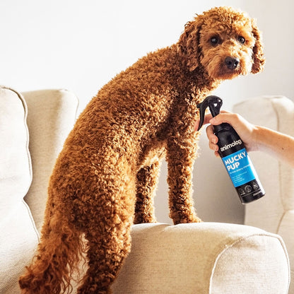 Animology Mucky Pup Shampoo - Puppy shampoo spray 250ml