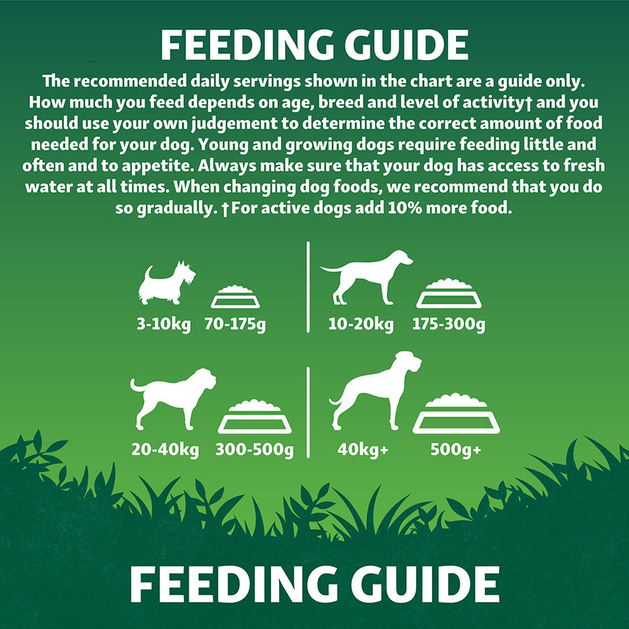 Harringtons Adult Dog Grain Free Superfoods Chicken - 12kg