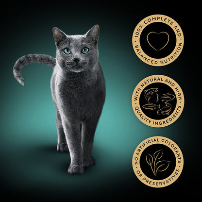 SHEBA Sauce Collection Adult Cat Food Fish Selection ( 12 x 85g ) x 4 Packs