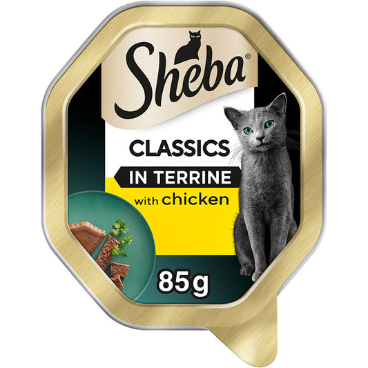 SHEBA Classics Adult Cat Food with Chicken in Terrine Tray ( 85g x 22 )
