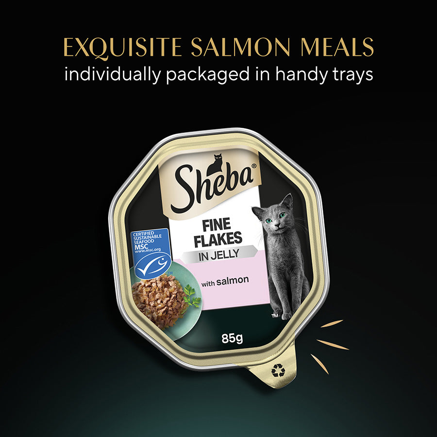 SHEBA Fine Flakes Adult Wet Cat Food with Salmon Jelly ( 85g x 22 )