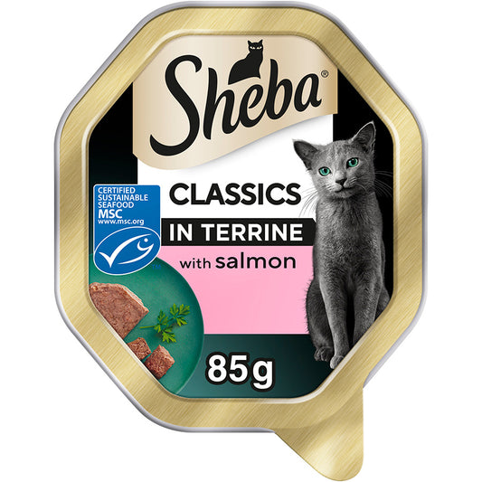 Sheba Classics Wet Cat Food Tray Salmon in Terrine ( 85g x 22 )