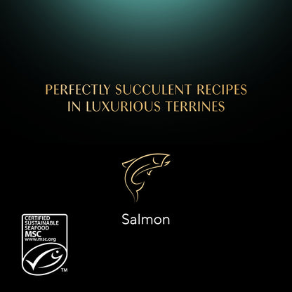 Sheba Classics Wet Cat Food Tray Salmon in Terrine ( 85g x 22 )