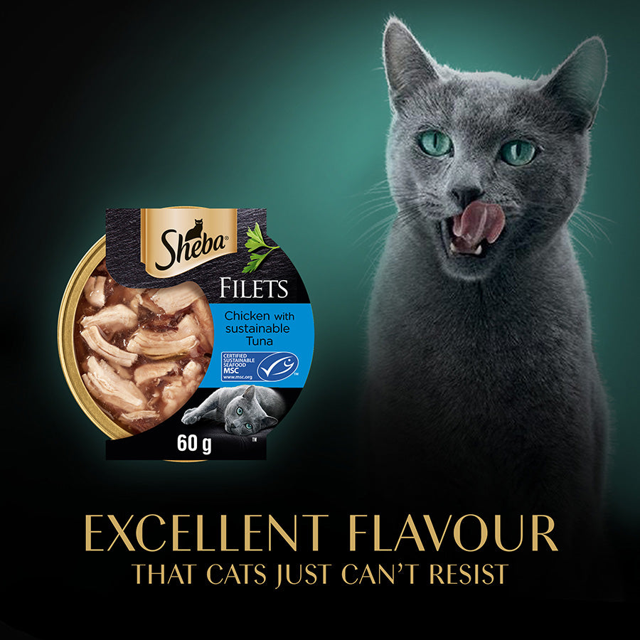 SHEBA Fillets with Chicken and Tuna in Gravy ( 60g x 32 )
