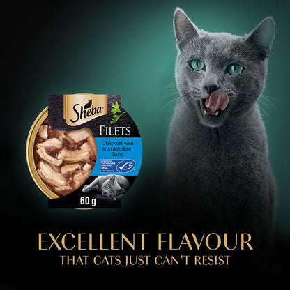 SHEBA Fillets with Chicken and Tuna in Gravy ( 60g x 32 )
