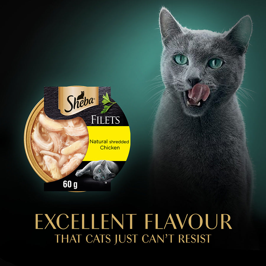 SHEBA Fillets with Chicken in Gravy ( 60g x 32 )