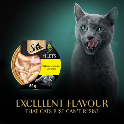 SHEBA Fillets with Chicken in Gravy ( 60g x 32 )