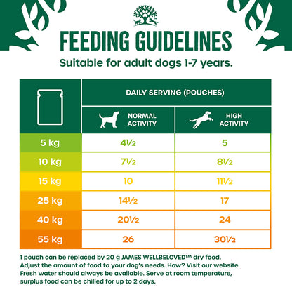 James Wellbeloved Grain Free Adult Wet Dog Food Lamb & Chicken Pouch (12pk x 90g)