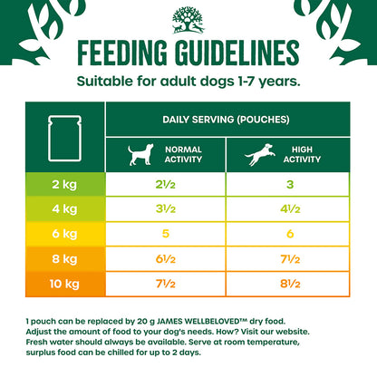 James Wellbeloved Adult Wet Dog Food Small Breed Turkey & Rice Pouch (12 x 90g)