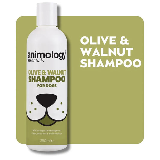 Animology Essentials Olive & Walnut Shampoo - 250ml