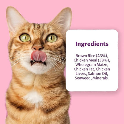 Burns Pet Nutrition Original Chicken and Brown Rice 1.5 kg