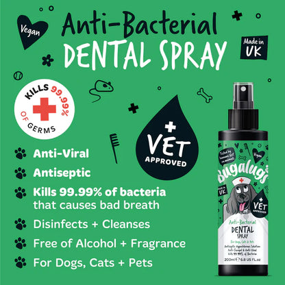 Bugalugs Antibacterial Dental Spray - 200ml