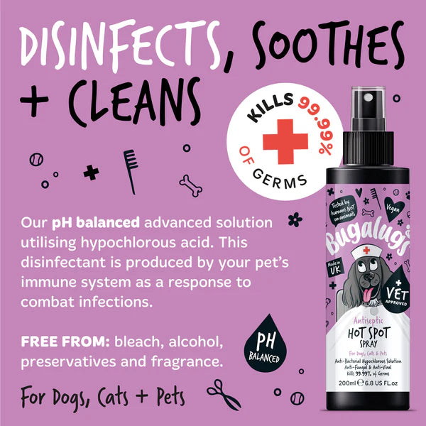 Bugalugs Antiseptic Hot Spot Spray - 200ml