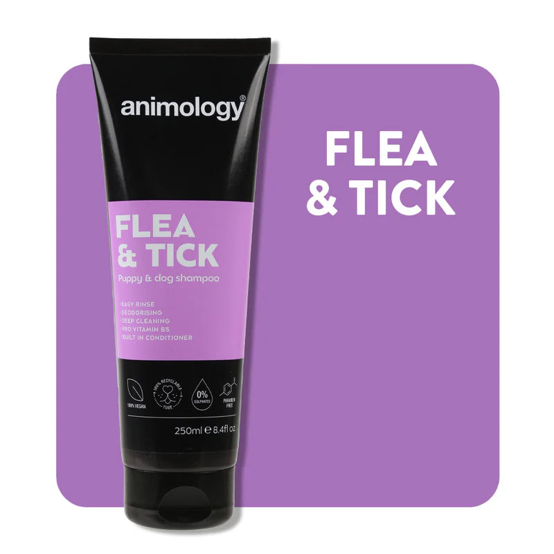 Animology Professional Dog Shampoo - 250ml