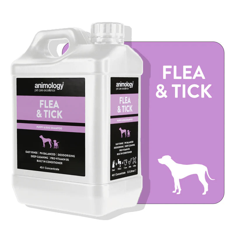 Animology Professional Dog Shampoo 40:1 Concentrate – 2.5L