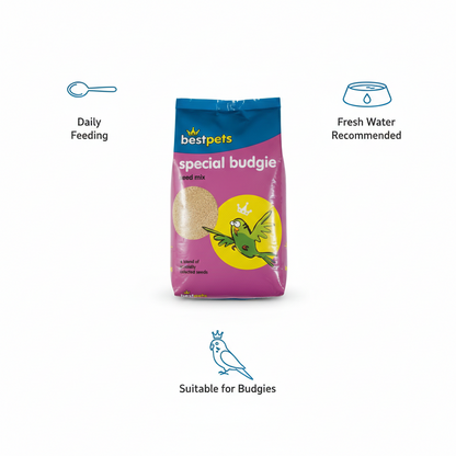 Special Budgie Seed Mix 20kg Bulk Bird Food – Nutritious Mixed Seeds