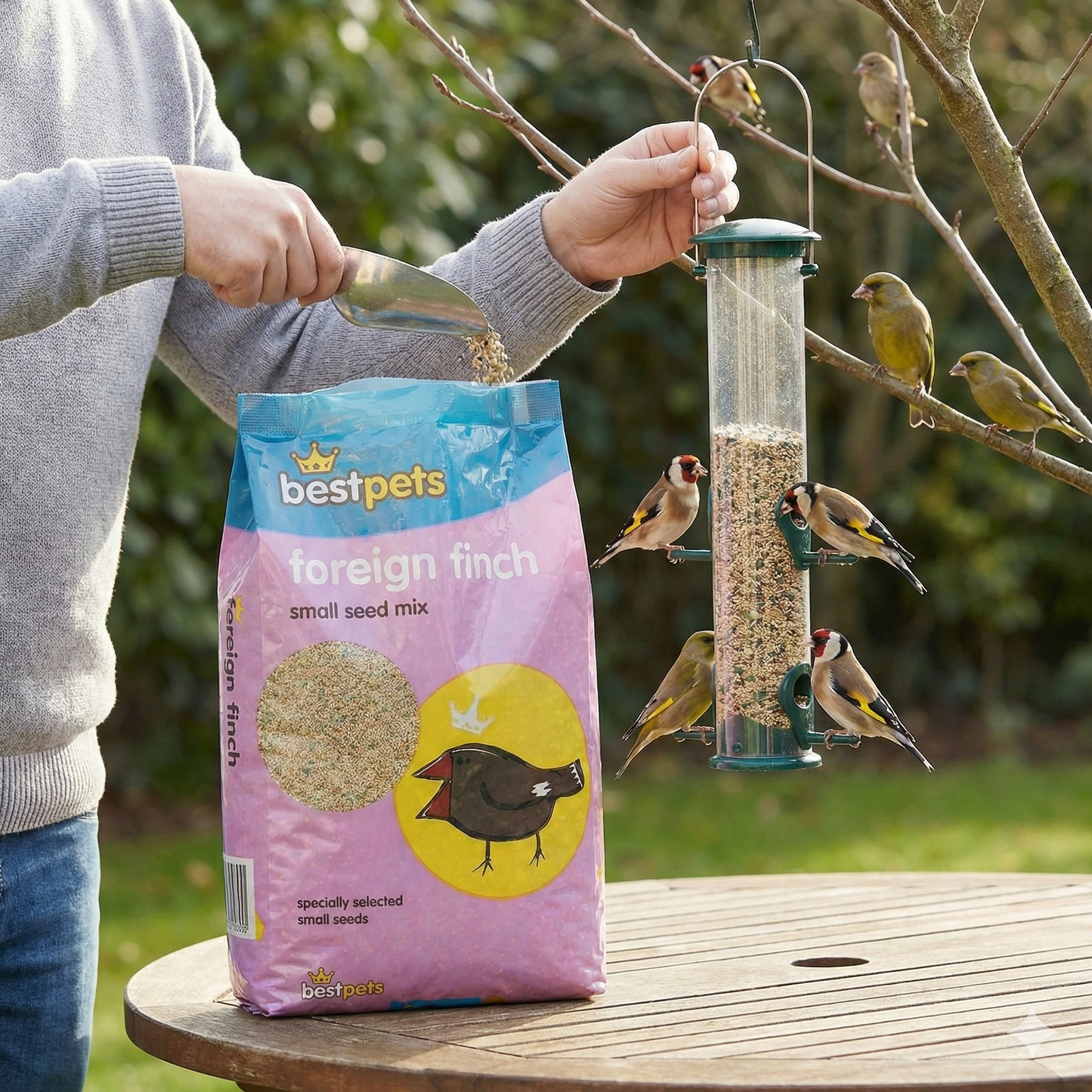 Bestpets Foreign Finch Bird Seed Mix 20kg – Premium Daily Wild Bird Food for Finches – High Energy Natural Seed Blend for Aviary & Garden Feeding – Bulk Value Bag