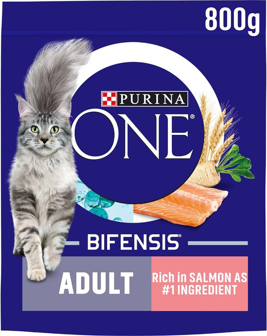 PURINA ONE Chicken Dry Cat Food 800g