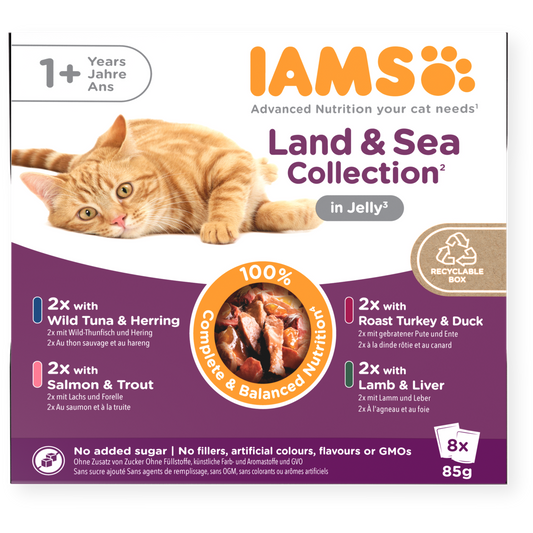 Iams Advanced Nutrition Adult 1+ Years Cat Land & Sea Collection in Jelly - 8pk x 85g
