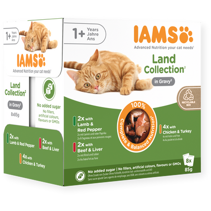 Iams Advanced Nutrition Adult 1+ years Cat Land Collection in Gravy - 8pk x 85g