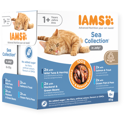 Iams Advanced Nutrition Adult 1+ Years Cat Sea Collection in Jelly 8pk - 85g
