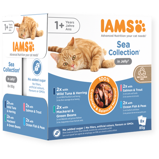 Iams Advanced Nutrition Adult 1+ Years Cat Sea Collection in Jelly 8pk - 85g