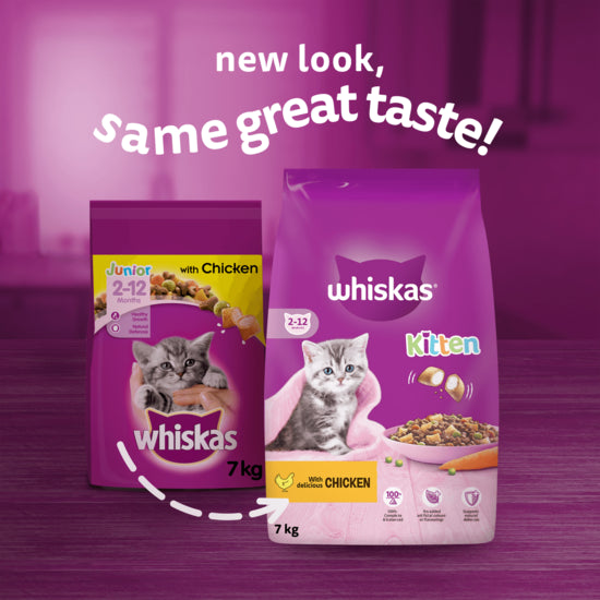 Whiskas Kitten Chicken Dry Cat Food - (300g × 6)