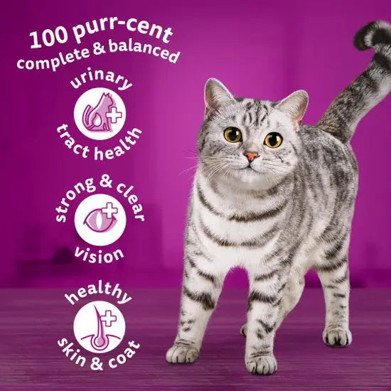 Whiskas 1+ Complete Dry with Chicken - ( 1.9 kg × 4 )
