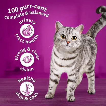 Whiskas 1+ Complete Dry with Chicken - ( 1.9 kg × 4 )