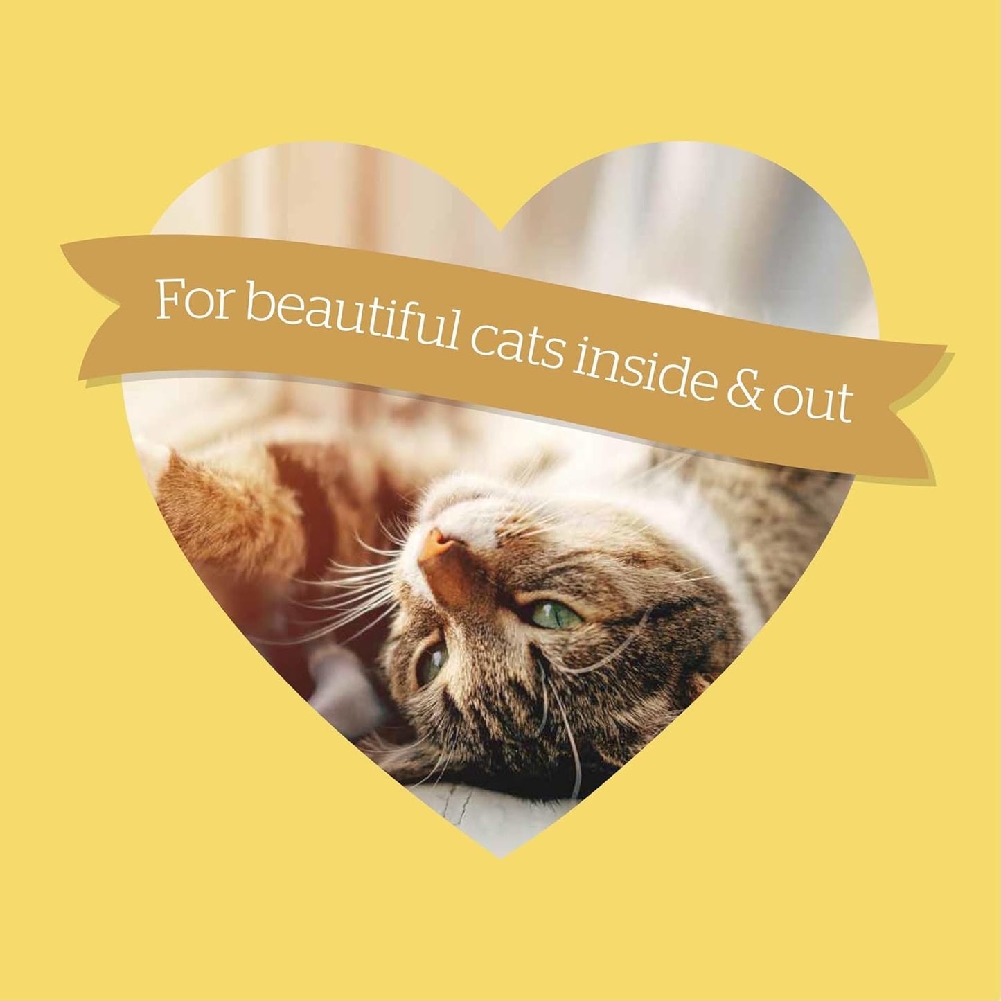 Burgess Adult Cat Food British Chicken and Duck 1.5kg or 1.5kgx4   4kg or 4kg pack of 3