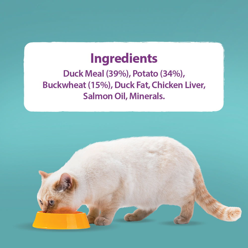 Burns Adult & Senior Cat Sensitive Grain Free Duck & Potato 300g or 300g pack of 10