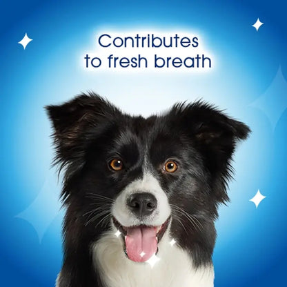 DENTALIFE Oral Care Dental Medium Dog Chicken Treats - 15 stk x 3