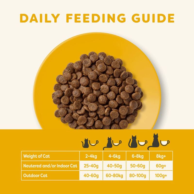 Applaws Grain Free Dry Adult Cat Food Chicken - 400g