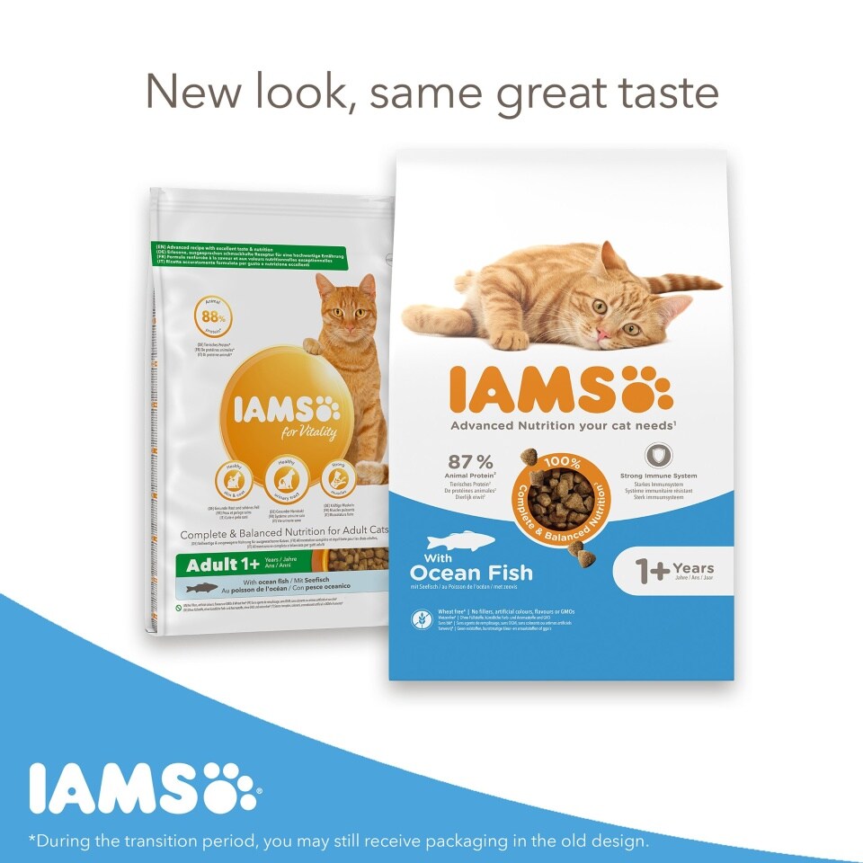 IAMS Adult Dry Cat Food Ocean Fish 2kg or 2kgx2