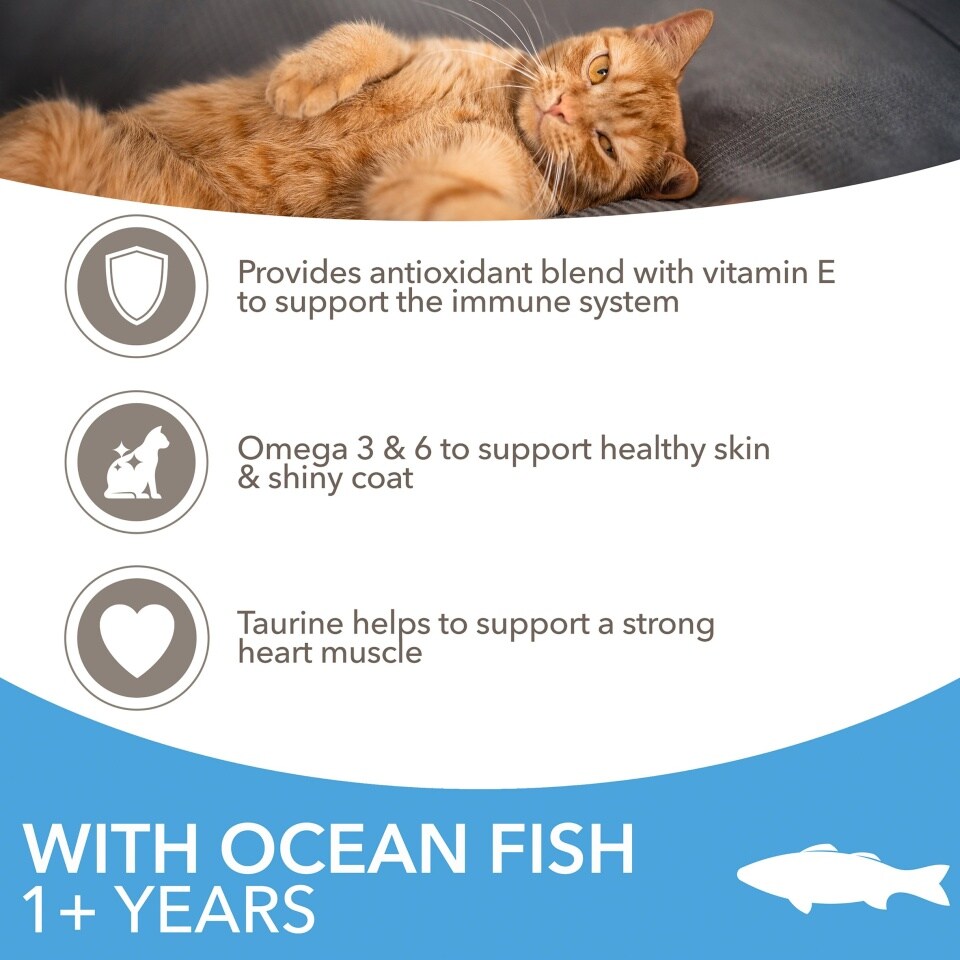 IAMS Adult Dry Cat Food Ocean Fish 2kg or 2kgx2