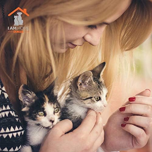 IAMS Adult Dry Cat Food Lamb 2kg  or 2kg pack of 2. IAMS Adult Dry Cat Food Chicken 10kg