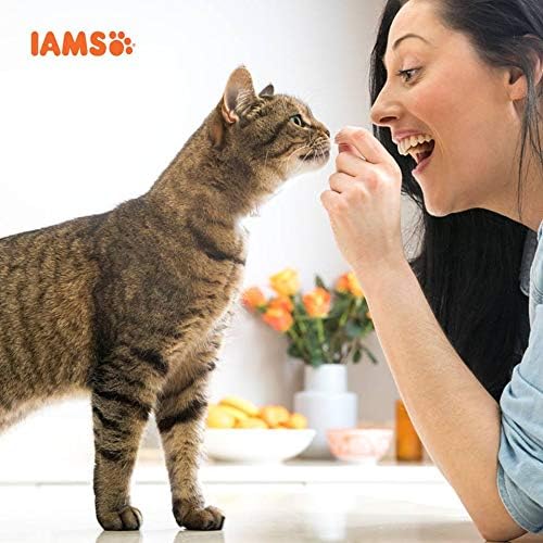 IAMS Adult Dry Cat Food Lamb 2kg  or 2kg pack of 2. IAMS Adult Dry Cat Food Chicken 10kg