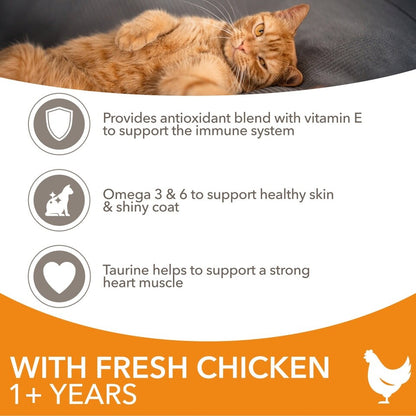 Iams Adult 1+ Cat Food With Fresh Chicken 2Kg or 2kg pack of 2