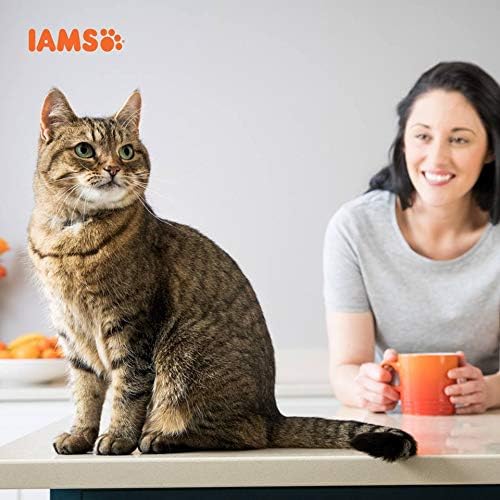 IAMS Adult Dry Cat Food With Tuna 2kg
