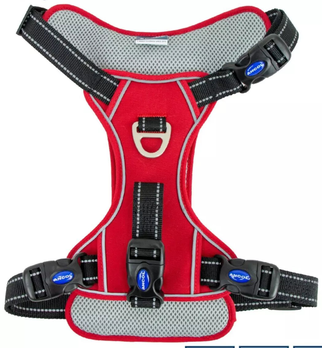 Ancol Viva Dog Travel Harness – Secure, Comfortable & Reflective Design-Blk,Red