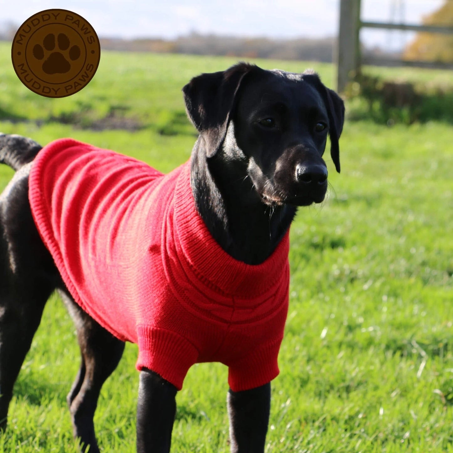 Ancol Knitted Jumper Red - Winter Jacket,Jersey,Coat - XS to L