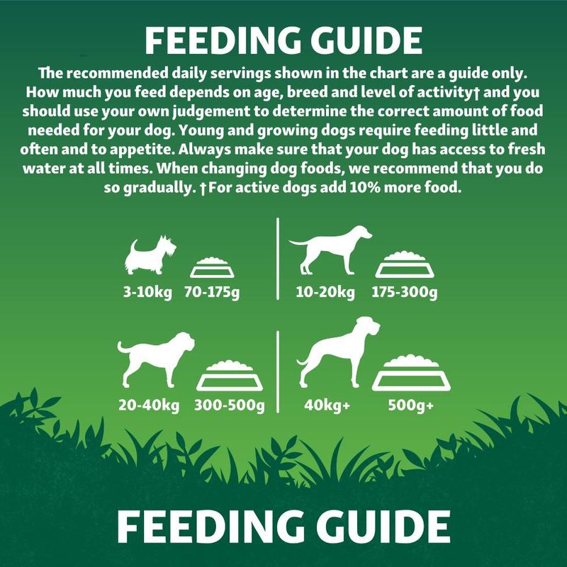 Harringtons Adult Dog Grain Free Superfoods Salmon with Vegetables - 12kg