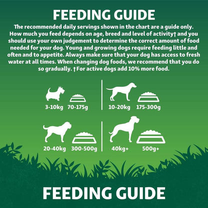 Harringtons Adult Dog Grain Free Superfoods Salmon with Vegetables - 12kg